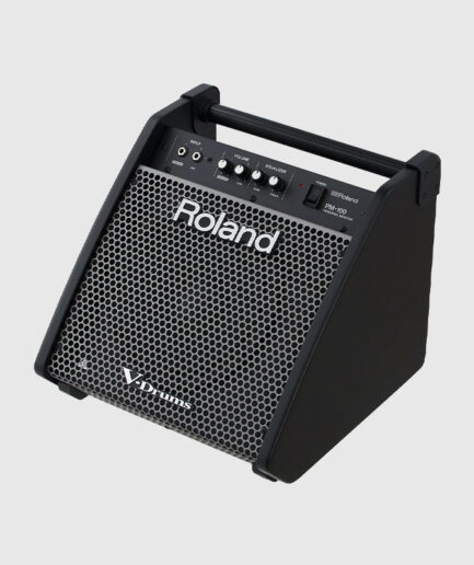 Roland PM100